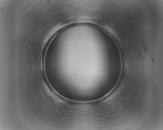 X0000054430934200508011353