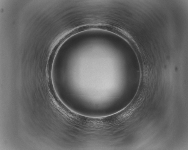 X0000054430935200508011354