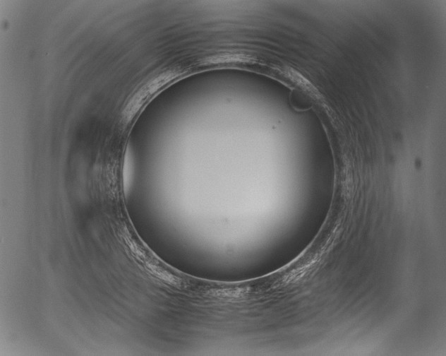 X0000054430937200508011354