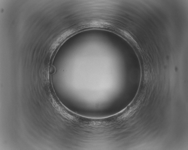 X0000054430938200508011354