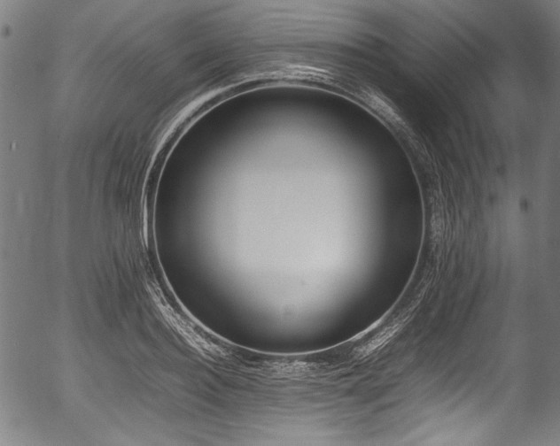 X0000054430940200508011354