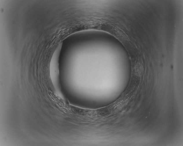 X0000054430961200508011353