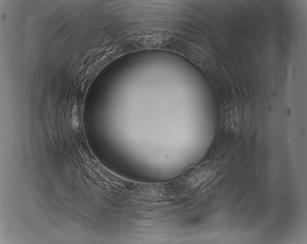 X0000054430962200508011353