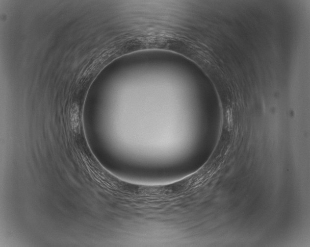 X0000054430963200508011353