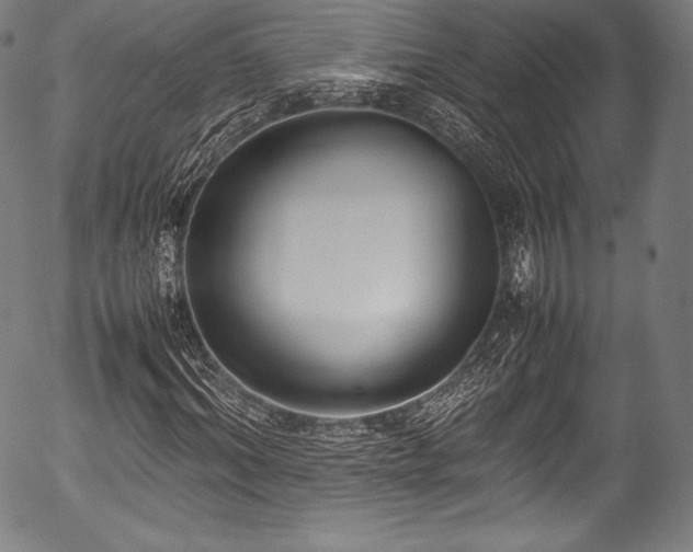 X0000054430964200508011353