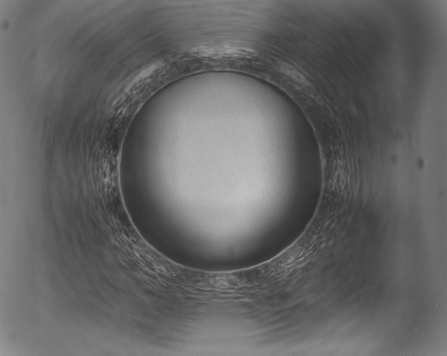 X0000054430966200508011353