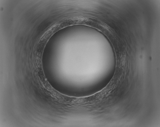 X0000054430967200508011353