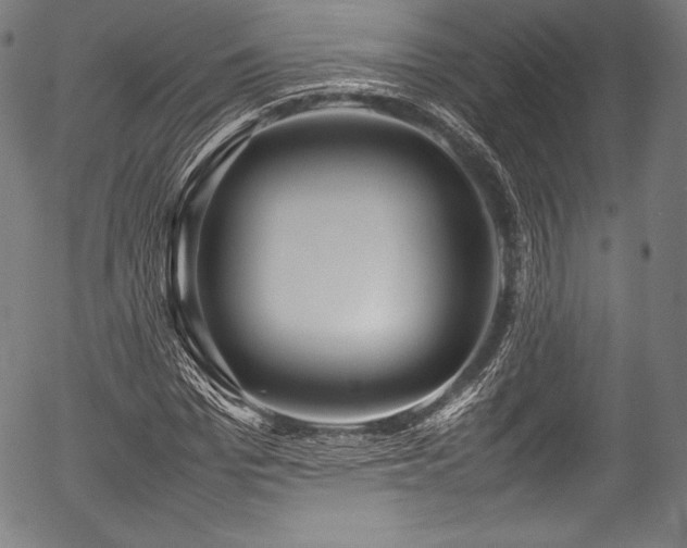 X0000054430969200508011353