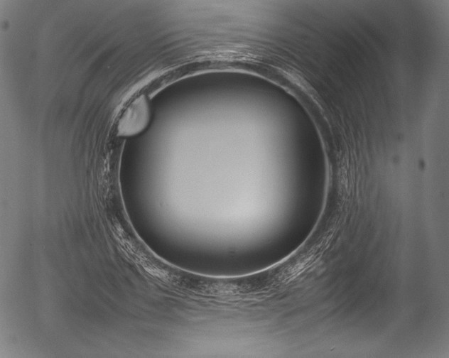 X0000054430971200508011353