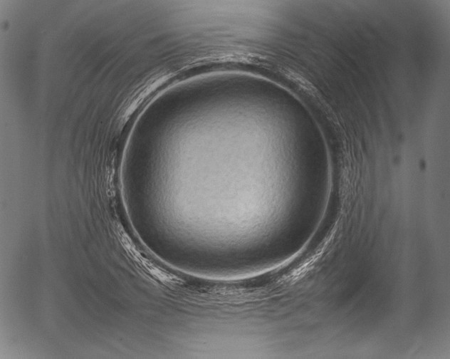 X0000054430977200508011353