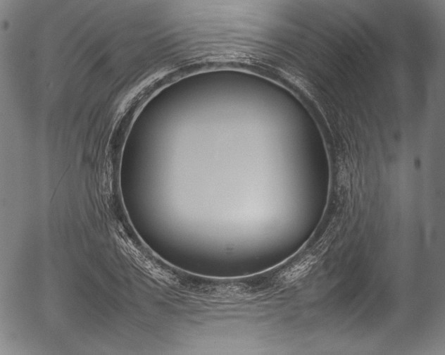 X0000054430979200508011353