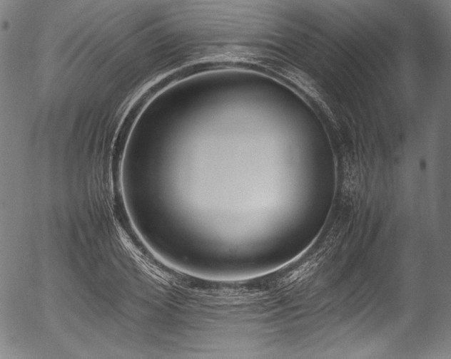 X0000054430980200508011353