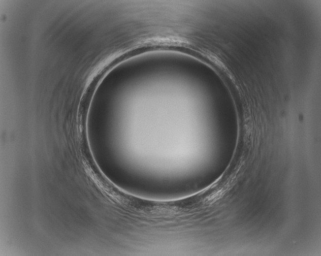 X0000054430981200508011353