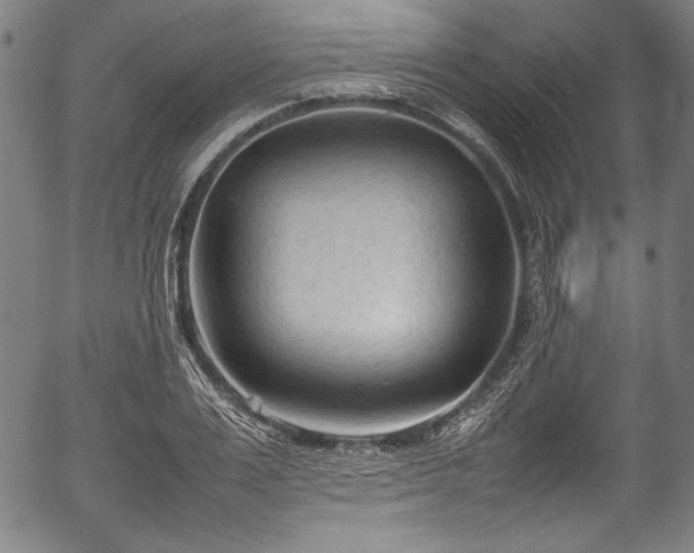 X0000054430983200508011353