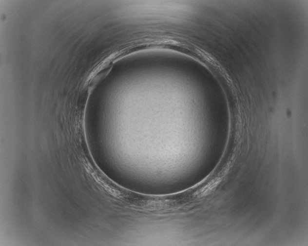 X0000054430985200508011353