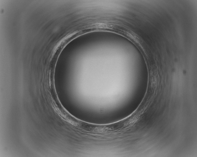 X0000054430987200508011353