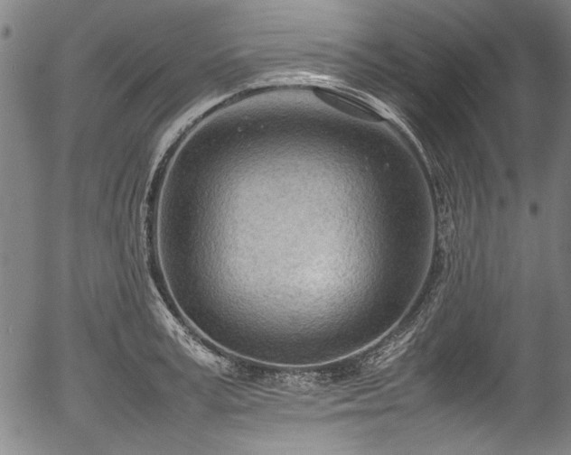 X0000054430995200508011353