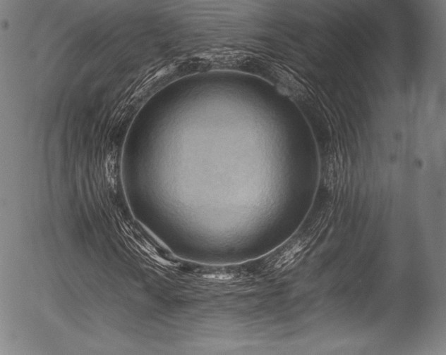 X0000054431010200508011352
