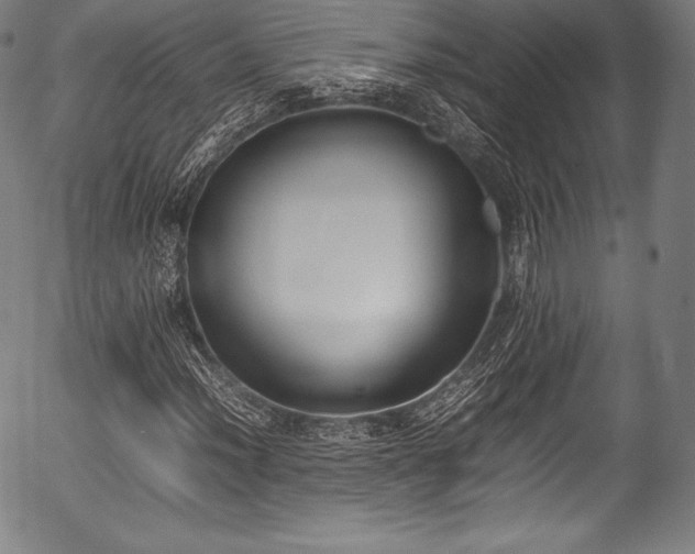 X0000054431012200508011352
