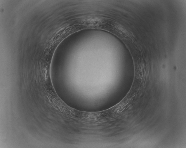 X0000054431013200508011352