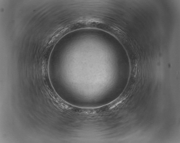 X0000054431014200508011352