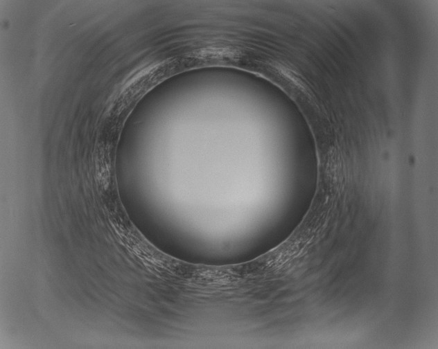 X0000054431015200508011352