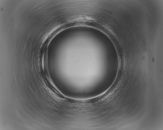 X0000054431018200508011352