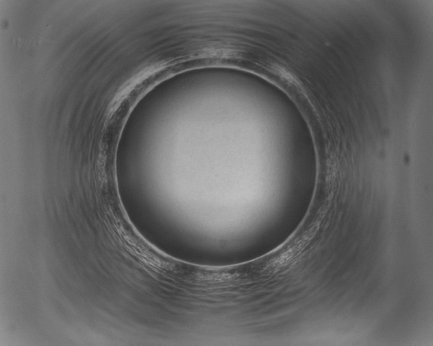 X0000054431019200508011352