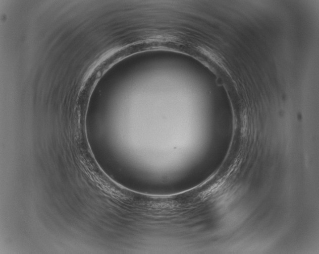 X0000054431021200508011352