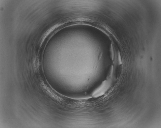 X0000054431024200508011352