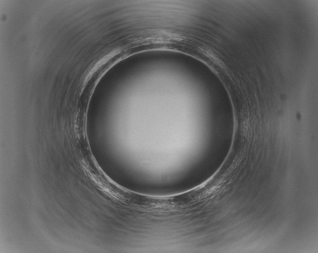 X0000054431026200508011352