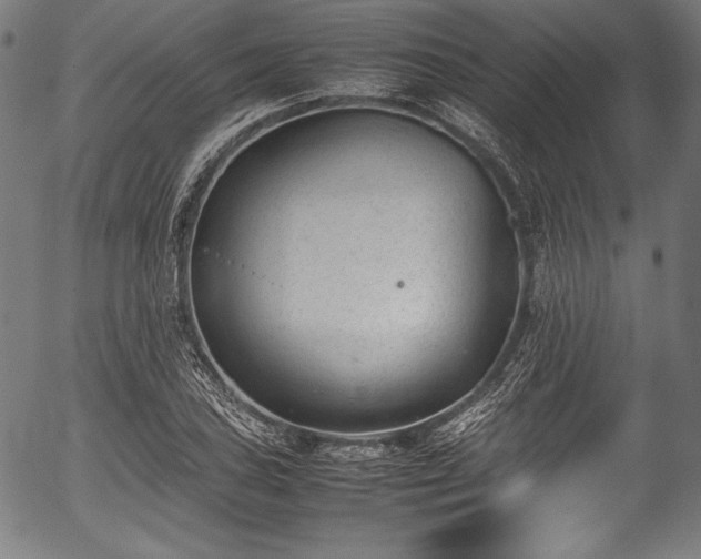 X0000054431027200508011352