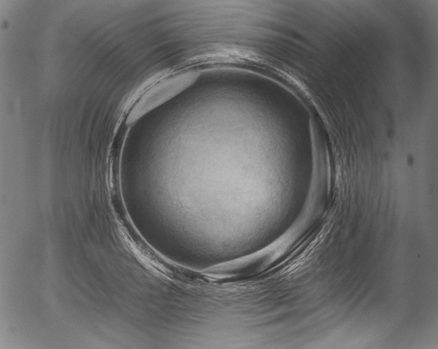 X0000054431034200508011352