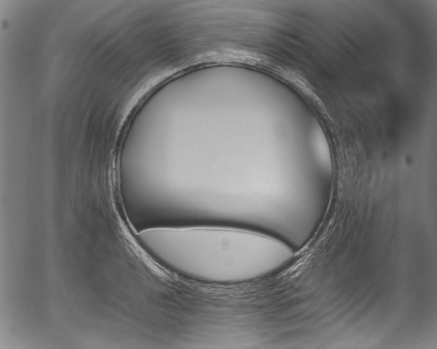 X0000054431040200508011352