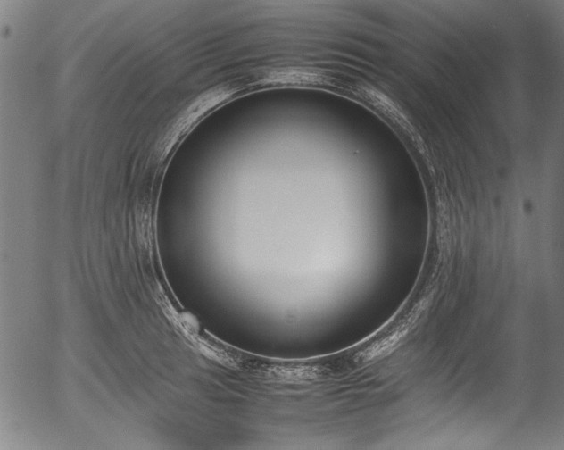 X0000054431041200508011352