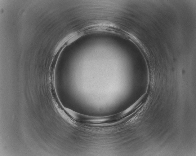 X0000054431042200508011352