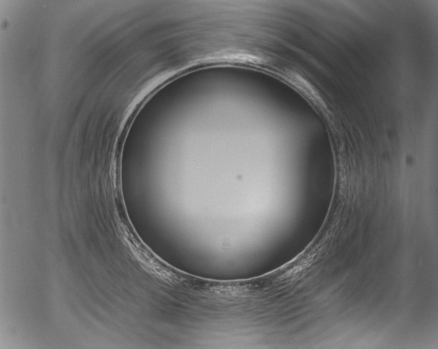 X0000054431044200508011352
