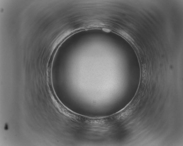 X0000054431047200508011352