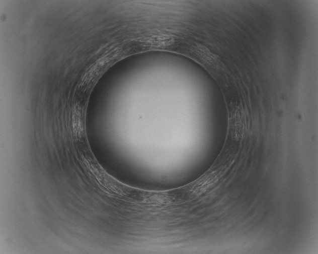 X0000054431058200508011351
