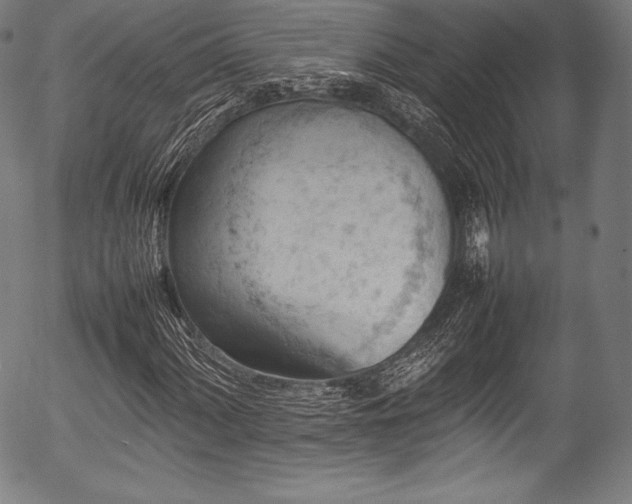 X0000054431060200508011351