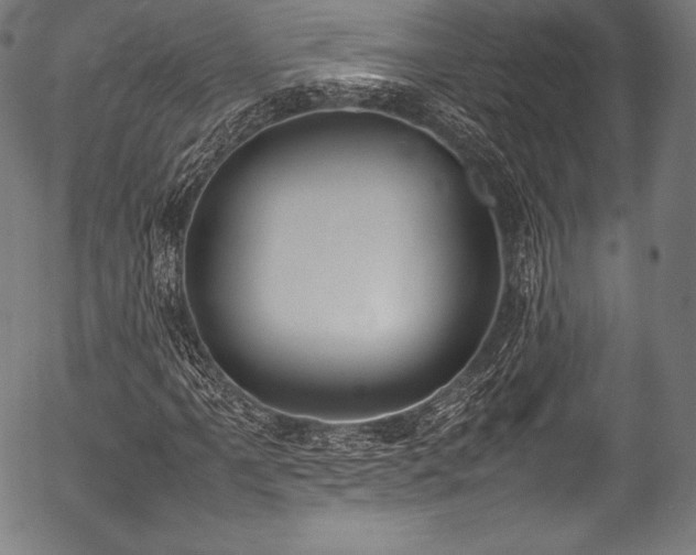 X0000054431061200508011351