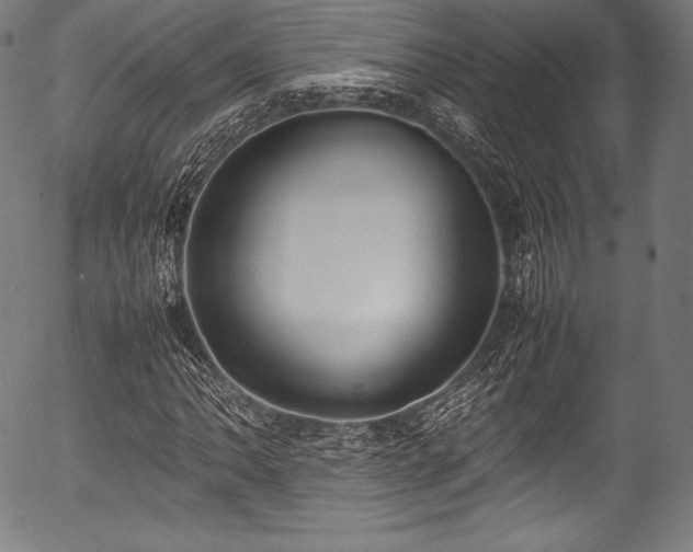 X0000054431062200508011351