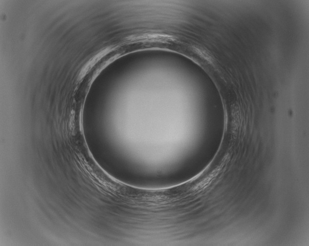 X0000054431066200508011351