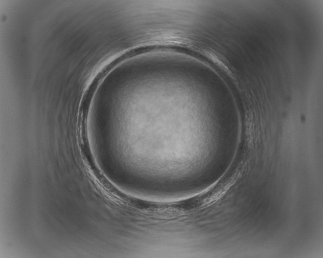 X0000054431077200508011351