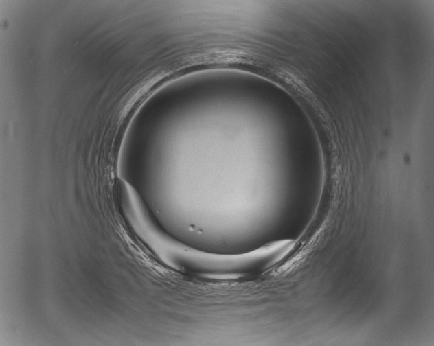 X0000054431081200508011351