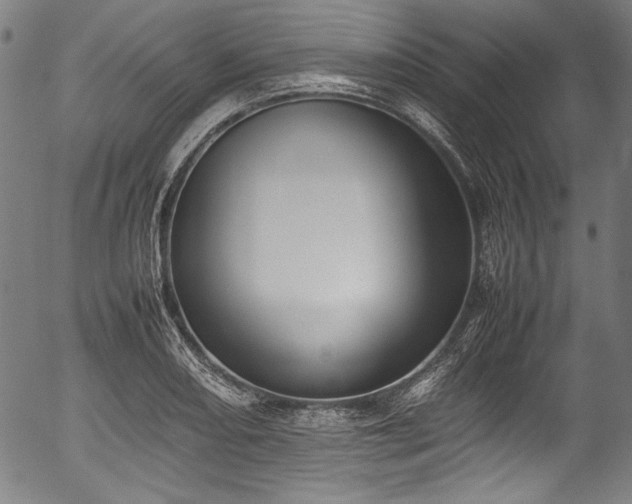 X0000054431082200508011351