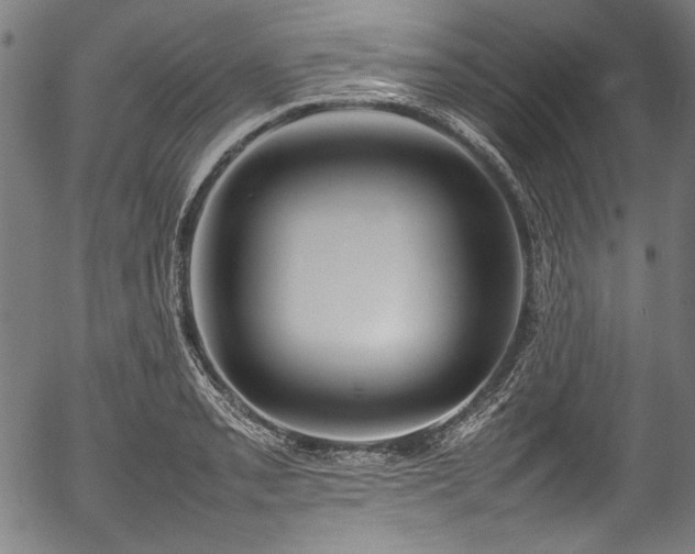 X0000054431085200508011351