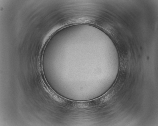 X0000054431086200508011351
