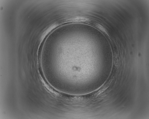 X0000054431087200508011351