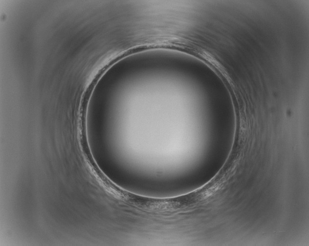 X0000054431093200508011351